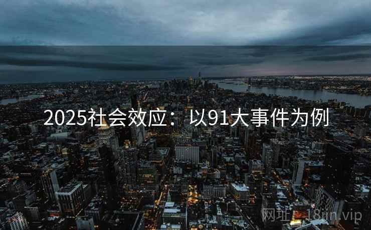 2025社会效应：以91大事件为例