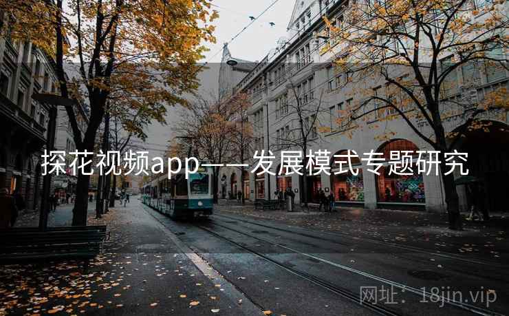 探花视频app——发展模式专题研究 探花视频app——发展模式专题研究