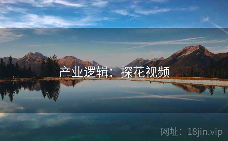 产业逻辑:探花视频 产业逻辑:探花视频