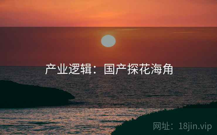 产业逻辑：国产探花海角