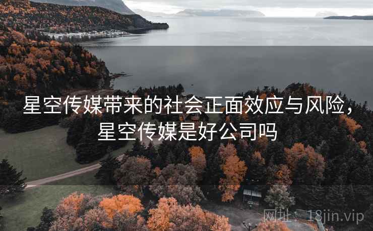 星空传媒带来的社会正面效应与风险，星空传媒是好公司吗